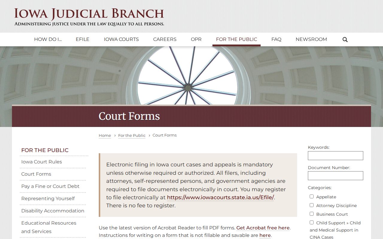 Iowa court forms for Union County criminal court cases